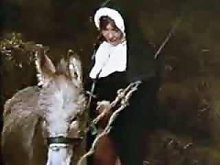 Zoo porn and zoo sex video